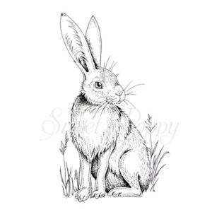 Hare Stamp