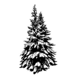 Sweet Poppy: Stampscapes - Snowy Trees Large - Polymer