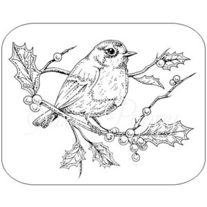 Robin Sramp *** NEW ***